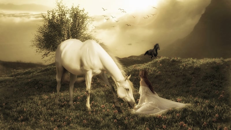 Fairy-tale Meadow